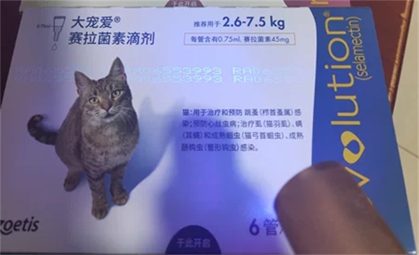 图片13.png 图片13.png