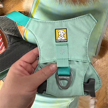 狗狗牵引绳怎么选 狗狗牵引绳怎么选