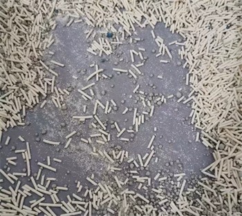 猫砂测评 猫砂测评