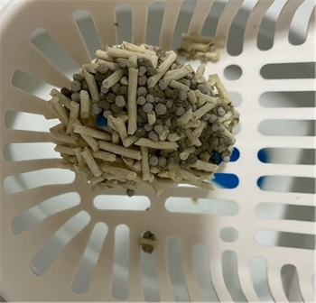 蓝氏混合猫砂测评 蓝氏混合猫砂测评