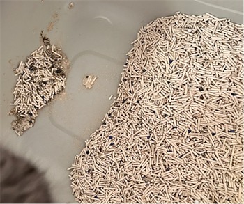 混合猫砂测评