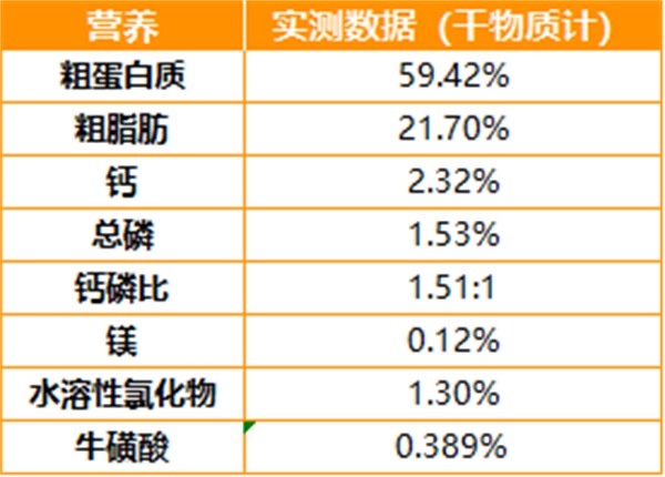 黑鼻头主食罐测评