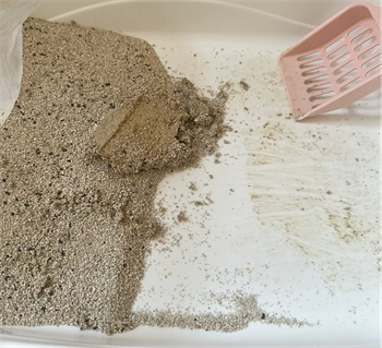 矿砂测评 矿砂测评