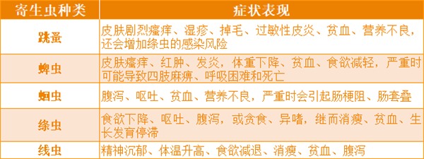 猫驱虫