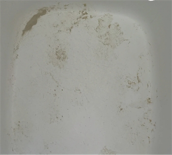 荷包蛋混合猫砂怎么样 荷包蛋混合猫砂怎么样