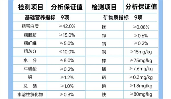 猫粮测评