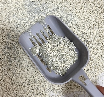 喵达猫砂测评 喵达猫砂测评