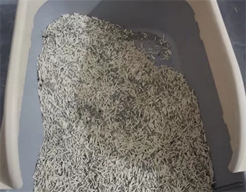 城市理享猫砂