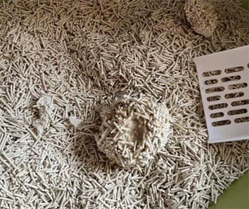 混合猫砂测评