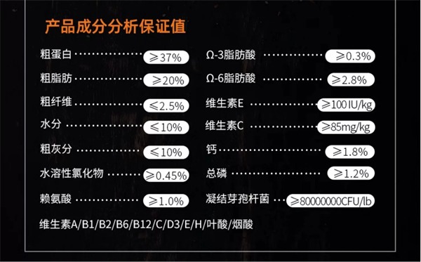 狗粮测评