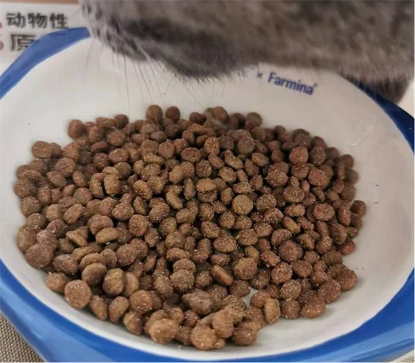 国产猫粮测评