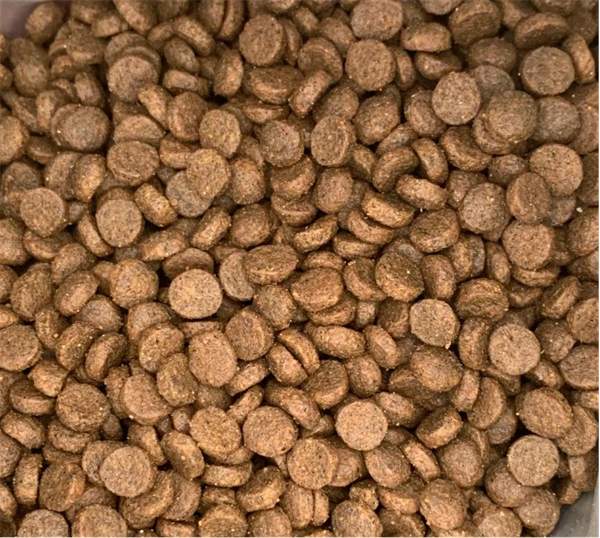 法米娜猫粮好不好 法米娜猫粮好不好