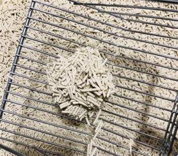 宠幸猫砂 宠幸猫砂