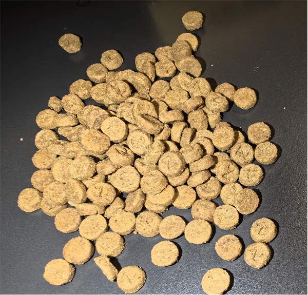 滋奇猫粮