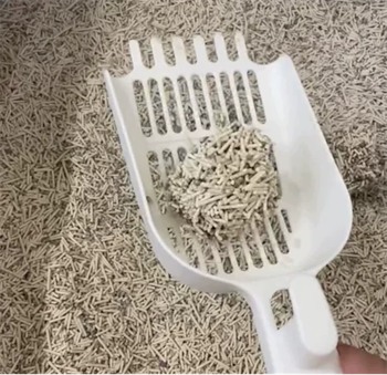 猫砂测评