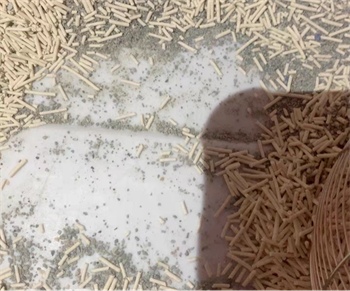 喵达猫砂测评