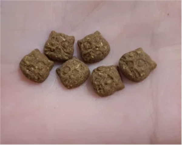 嘉传猫粮测评