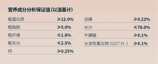 东边主食罐测评 东边主食罐测评