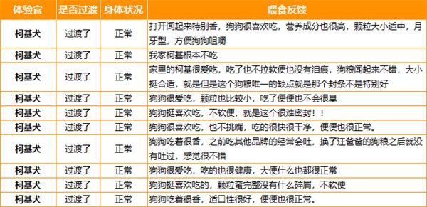 柯基专用狗粮