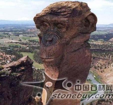 奇石--肖像石的收藏保养技巧 （图）
