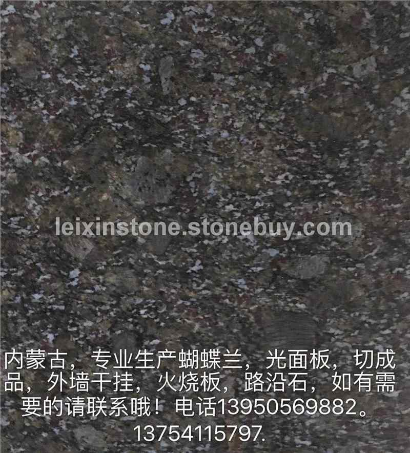 内蒙古蝴蝶蓝
