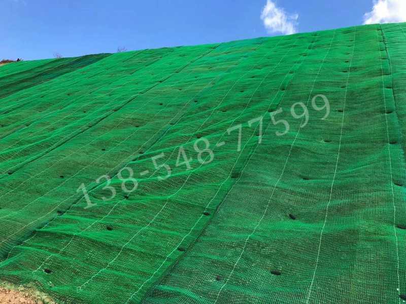 三维植被网 三维植被网
