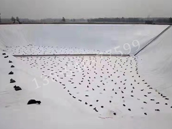 三维复合排水网施工 三维复合排水网施工