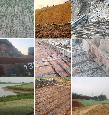 加筋带(图2) a2100dbfd84527d5747379eedf0cbc8_副本.png
