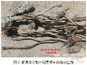 造成一人死亡!深圳某项目工地发生一起起重伤害事故(图4) 造成一人死亡!深圳某项目工地发生一起起重伤害事故(图4)