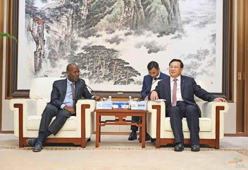 中国铁建董事长戴和根与坦桑尼亚交通部长姆巴拉瓦举行会谈：共同推进坦赞铁路激活项目(图3)