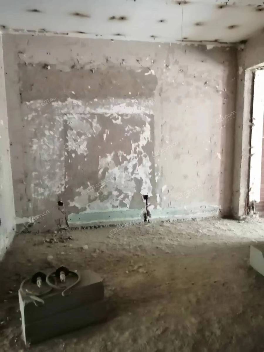 客厅