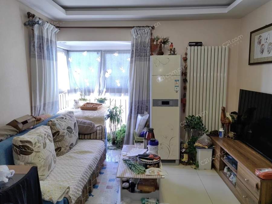 客厅