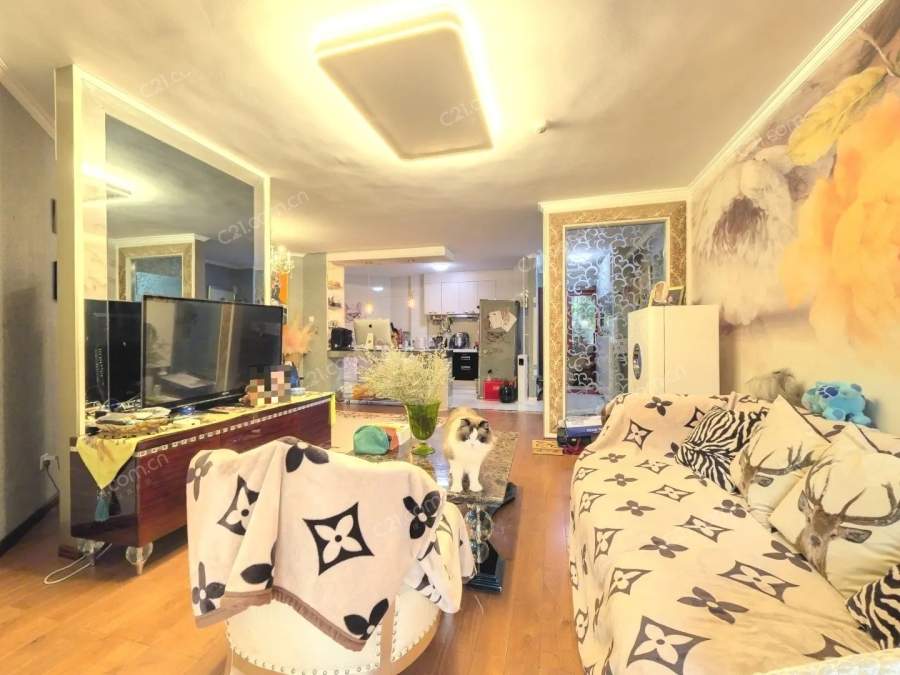 客厅