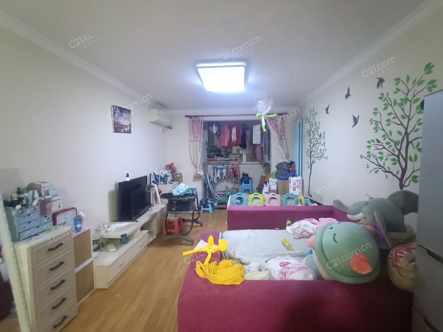 客厅