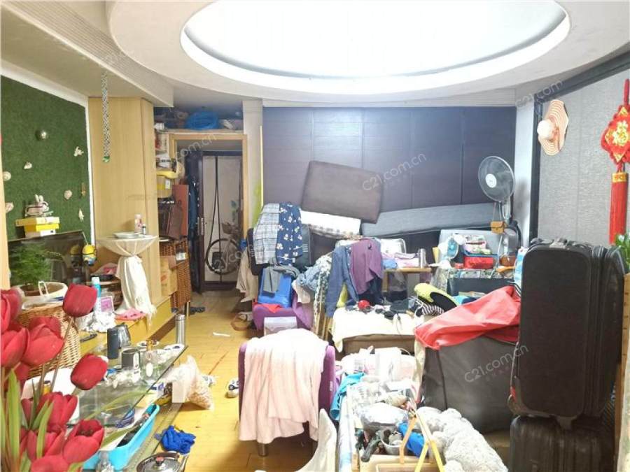 客厅