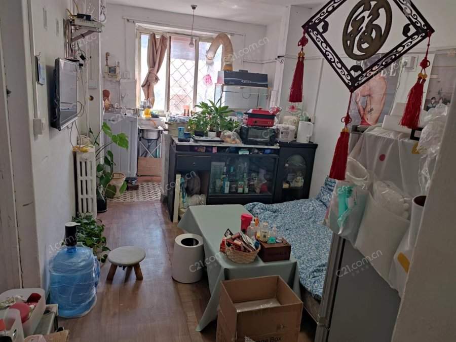客厅