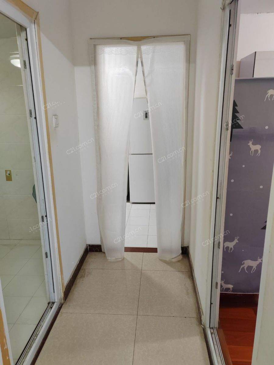 客厅