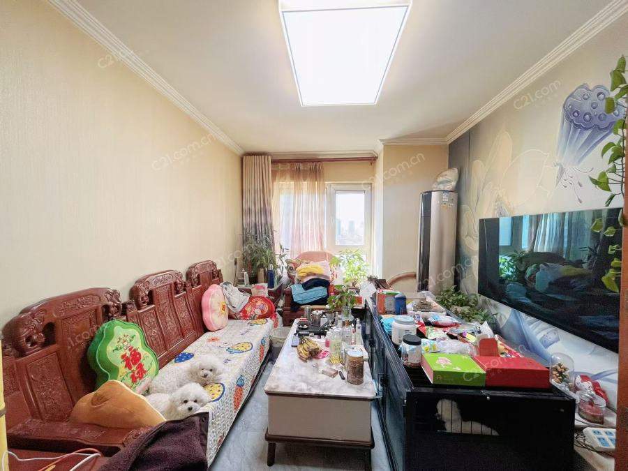 客厅