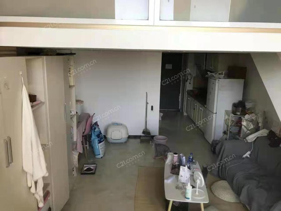 客厅